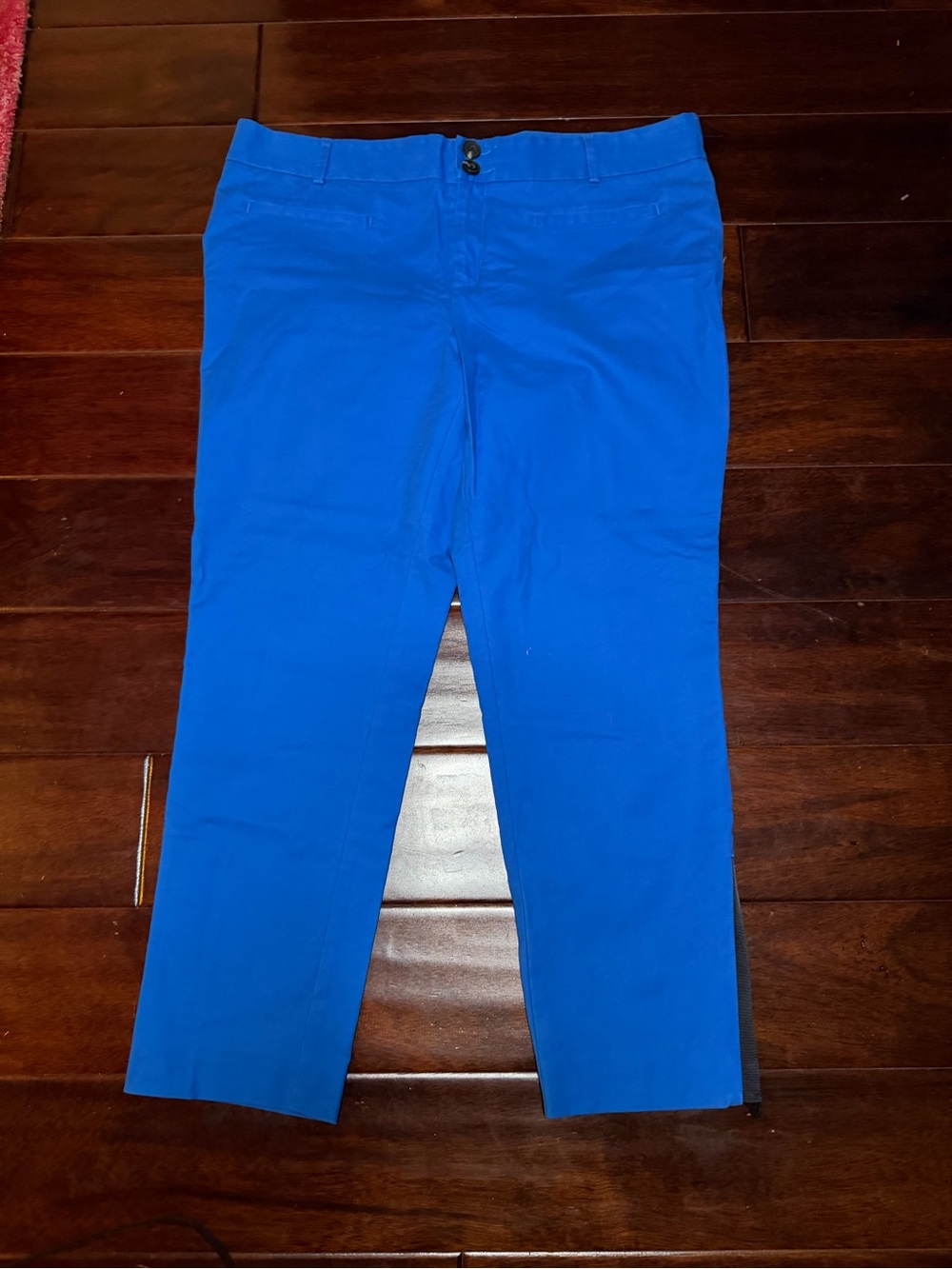Anthropologie Cartonnier Charlie Ankle Pants in Vibrant Royal Blue - Size 14